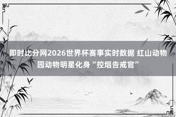 即时比分网2026世界杯赛事实时数据 红山动物园动物明星化身“控烟告戒官”