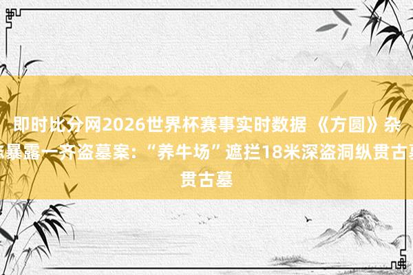 即时比分网2026世界杯赛事实时数据 《方圆》杂志暴露一齐盗墓案: “养牛场”遮拦18米深盗洞纵贯古墓