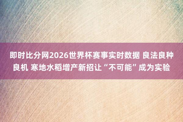 即时比分网2026世界杯赛事实时数据 良法良种良机 寒地水稻增产新招让“不可能”成为实验