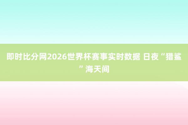 即时比分网2026世界杯赛事实时数据 日夜“猎鲨”海天间