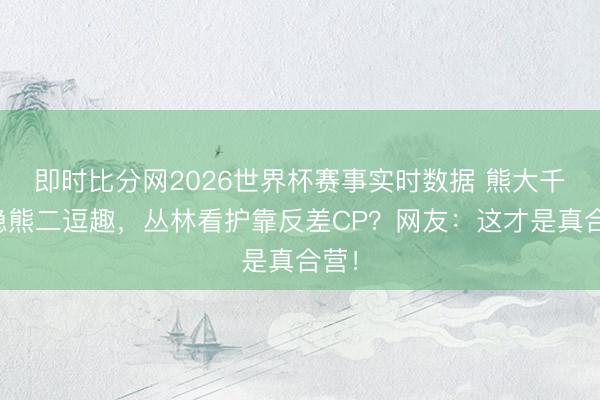 即时比分网2026世界杯赛事实时数据 熊大千里稳熊二逗趣，丛林看护靠反差CP？网友：这才是真合营！