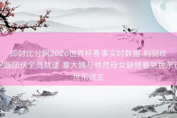 即时比分网2026世界杯赛事实时数据 利剑玫瑰拐贩团伙全员就逮 章大姨与林然母女缺憾看哭世东谈主