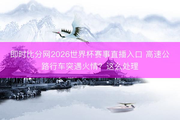 即时比分网2026世界杯赛事直播入口 高速公路行车突遇火情？这么处理